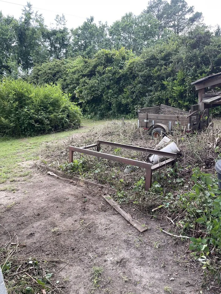 Expert lawn care service for year-round maintenance in Richmond, VA by Sunrise Services