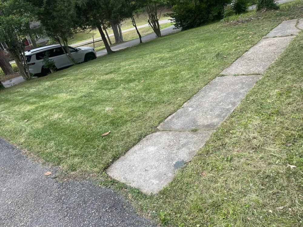 Local yard cleanup service near you across Richmond, VA - Sunrise Services