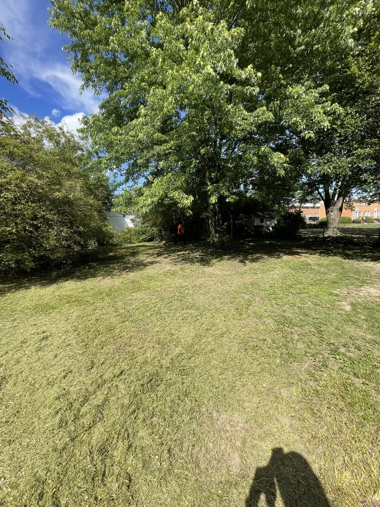 Affordable lawn mowing service in Richmond, VA by Sunrise Services