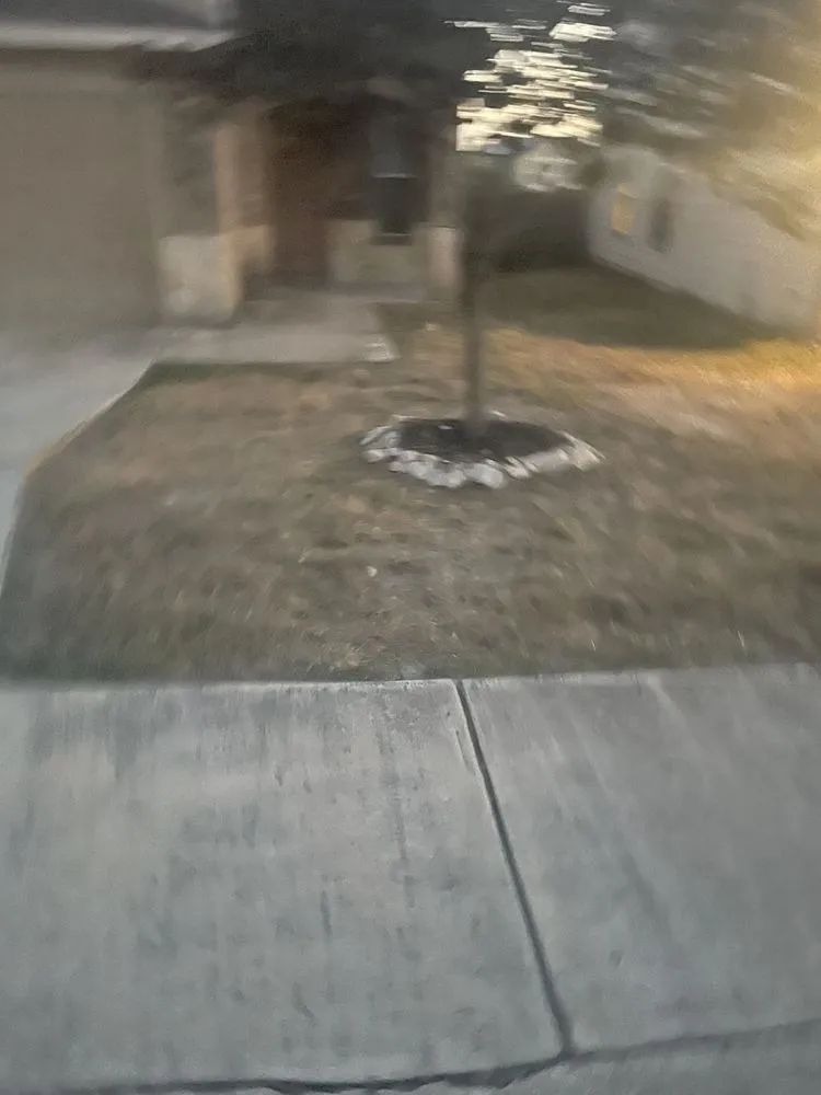 Expert yard cleanup service for outdoor upgrades in Seguin, TX by Sunrise Sunset Landscape