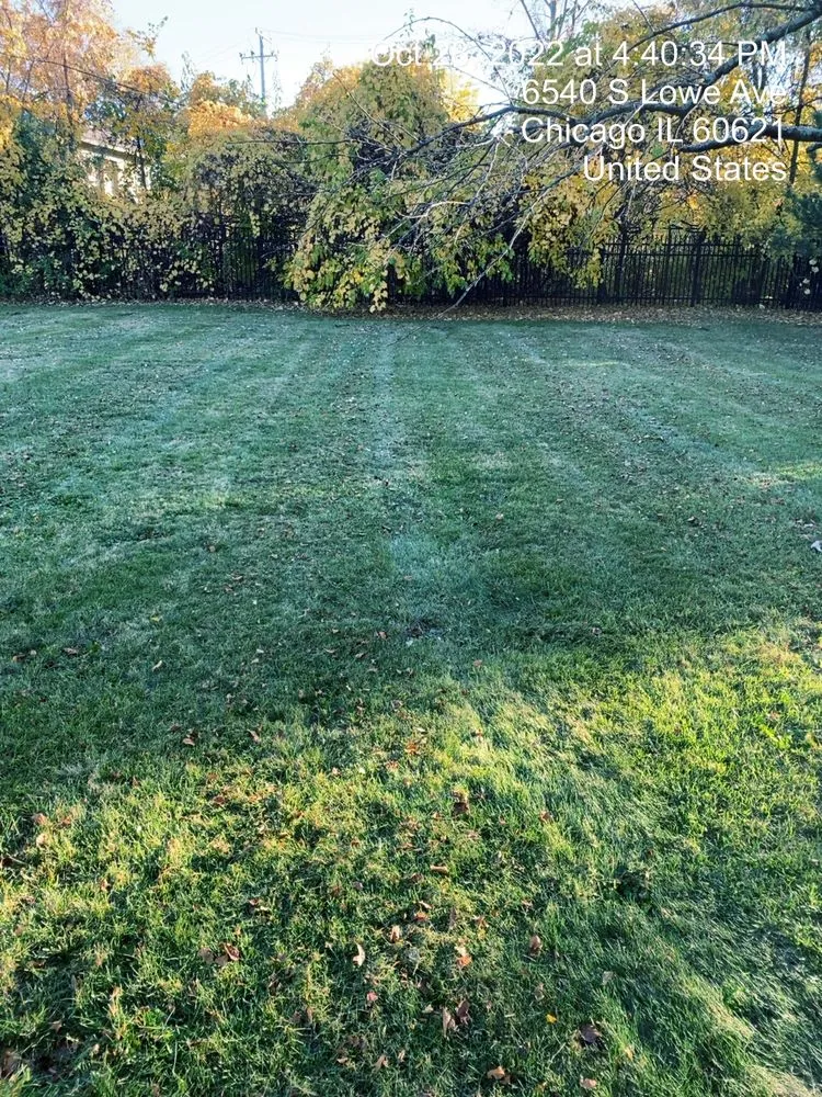 Local yard maintenance experts serving Chicago, IL - Sunrise To Sunset Landscaping and Snow Removal