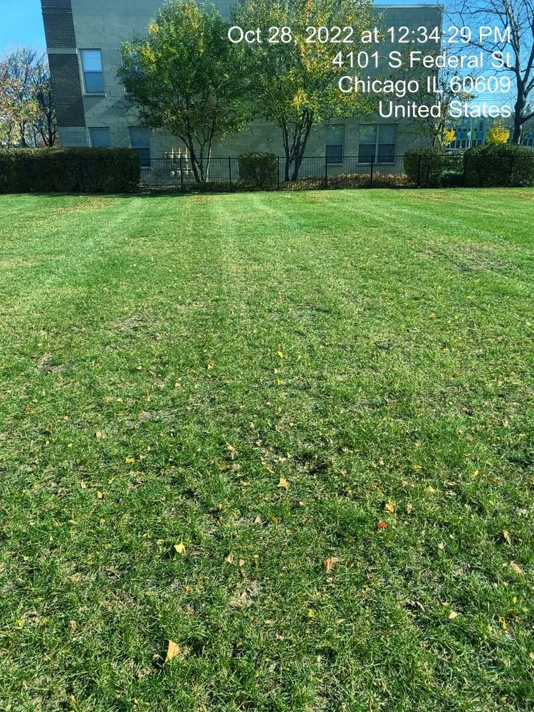 Reliable yard maintenance in Chicago, IL by Sunrise To Sunset Landscaping and Snow Removal