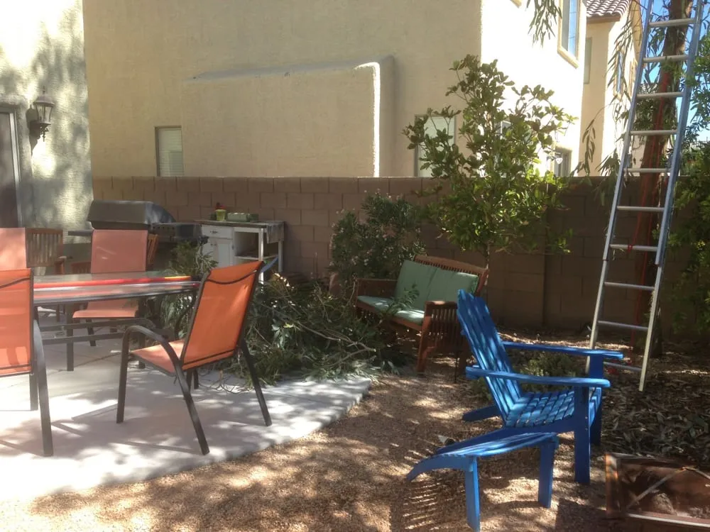 Local outdoor landscaping in Las Vegas, NV by Sunrise Tree & Landscape, Inc.