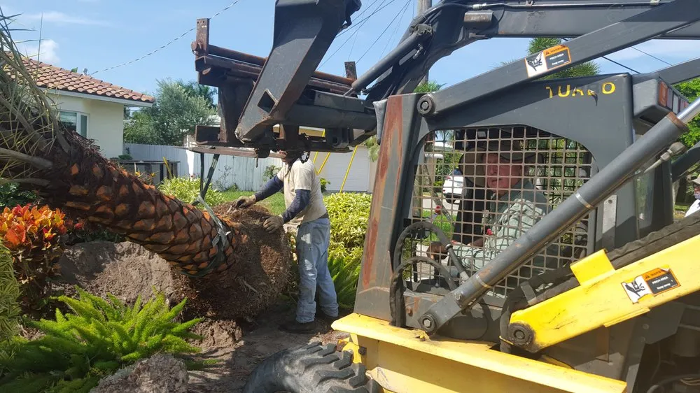 Professional lawn mowing service in Pompano Beach, FL - Sunrise Tree & Landscaping