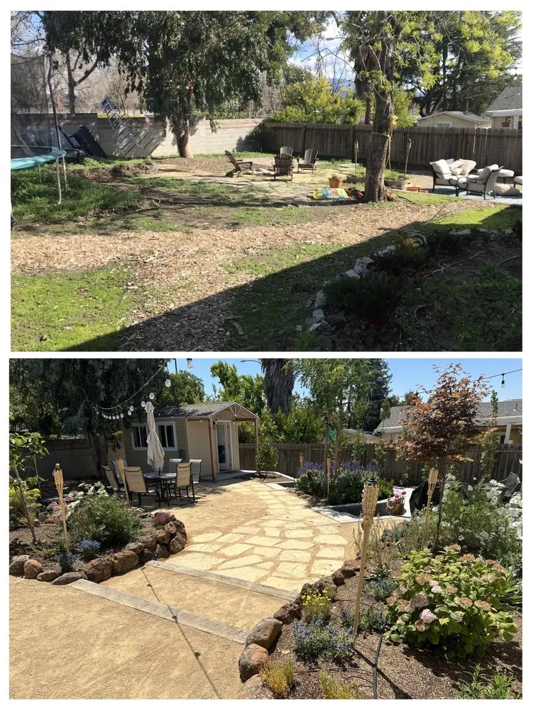 Top-rated landscape design for beautiful yards across Concord, CA - Sunrise Vine View