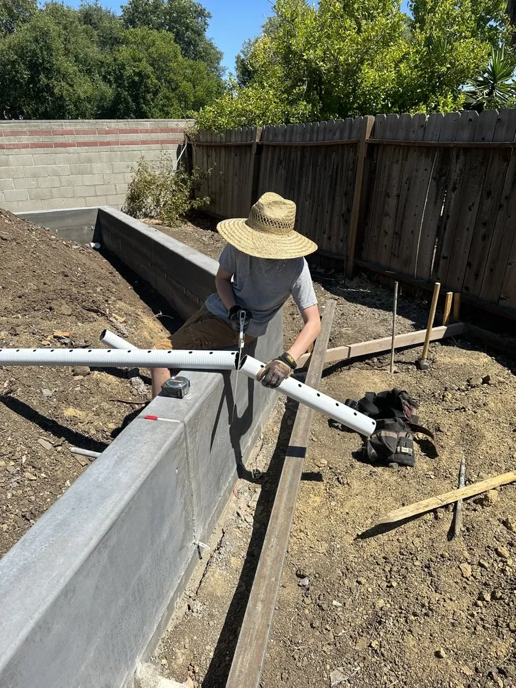 Top-rated lawn care service in Concord, CA - Sunrise Vine View