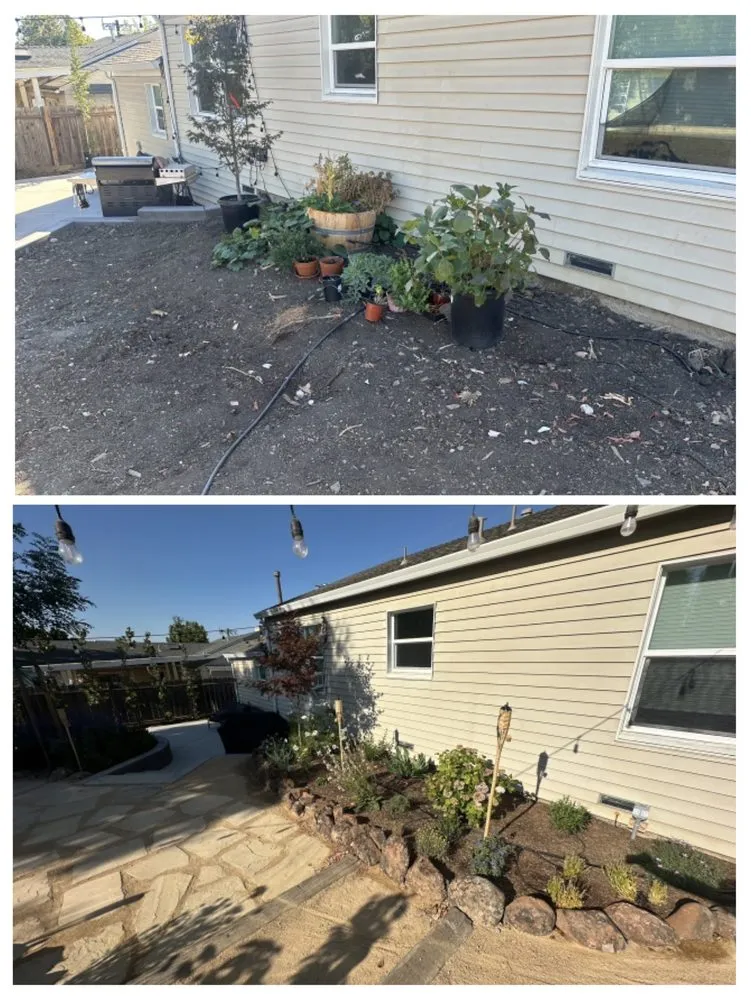 Local lawn care service experts serving Concord, CA - Sunrise Vine View