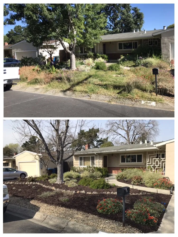 Trusted yard cleanup service for year-round maintenance across Concord, CA - Sunrise Vine View