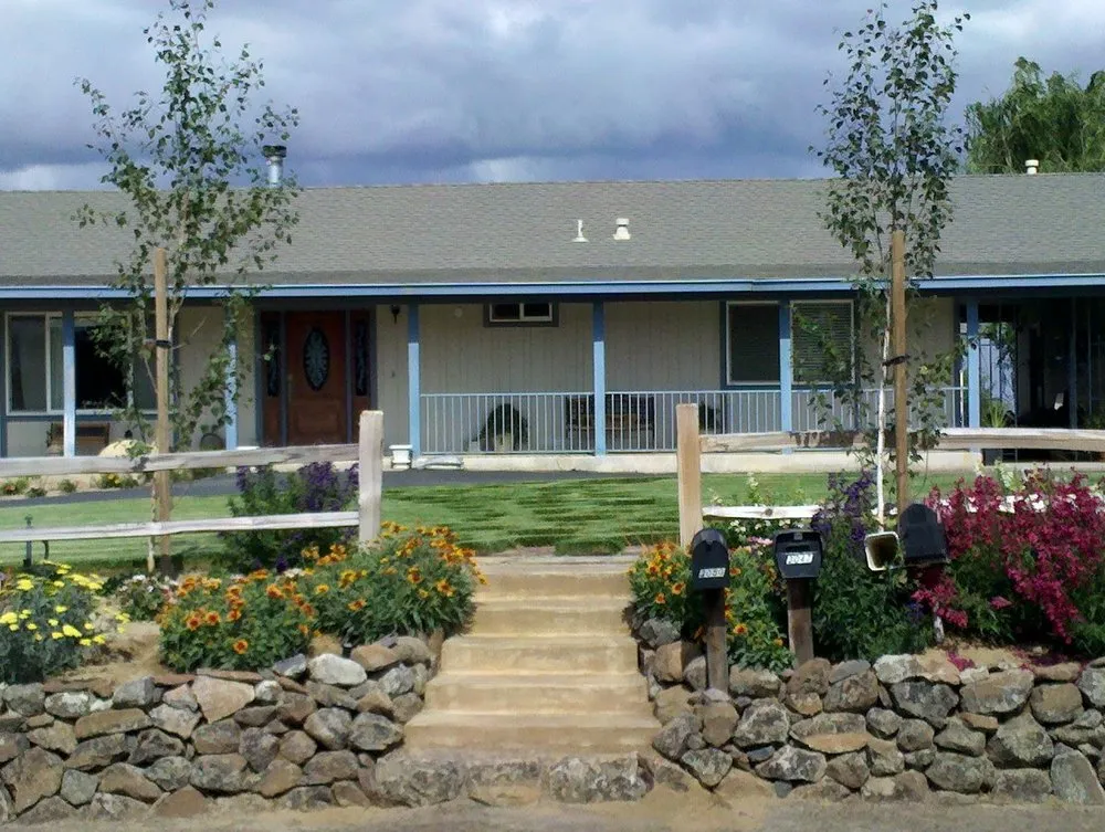 Top-rated residential landscaping in Concord, CA - Sunrise Vine View