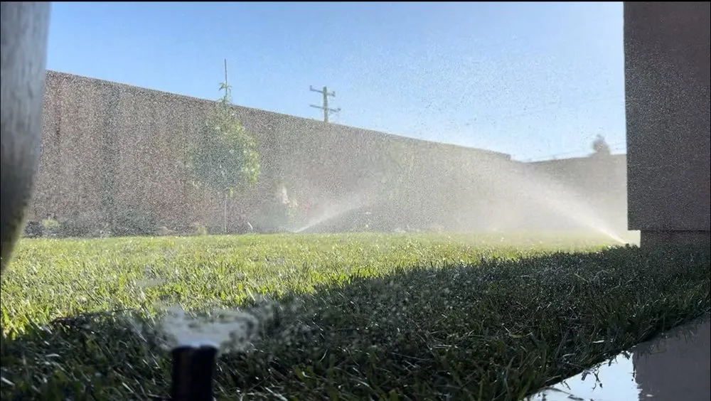 Top-rated landscaping services for beautiful yards across Concord, CA - Sunrise Vine View