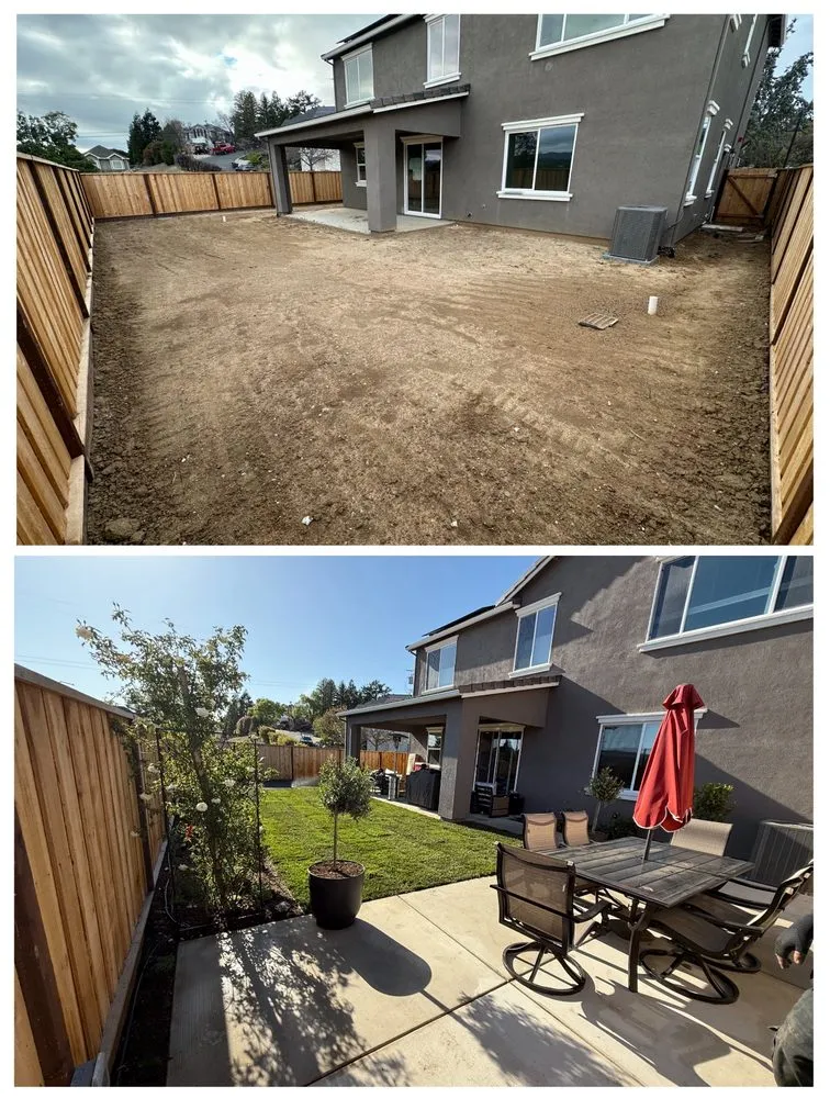 Top-rated yard maintenance for beautiful yards across Concord, CA - Sunrise Vine View