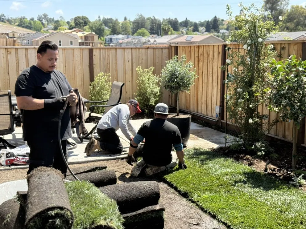 Expert landscape design experts serving Concord, CA - Sunrise Vine View