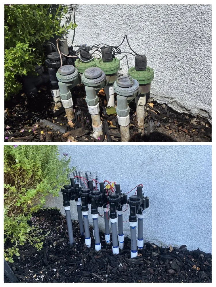 Trusted landscaping services in Concord, CA by Sunrise Vine View