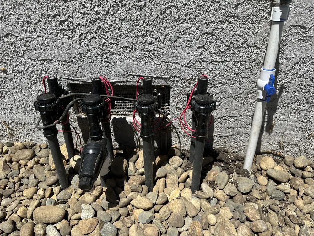 Affordable landscaping services experts serving Concord, CA - Sunrise Vine View