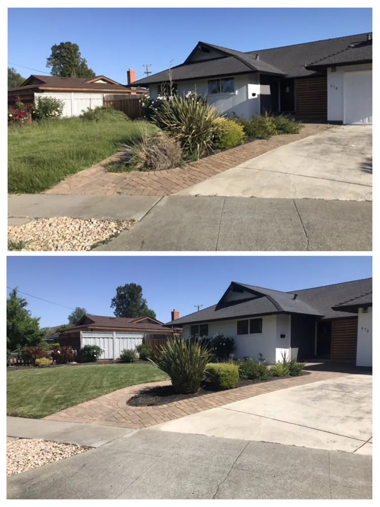 Local residential landscaping for residential properties in Concord, CA by Sunrise Vine View