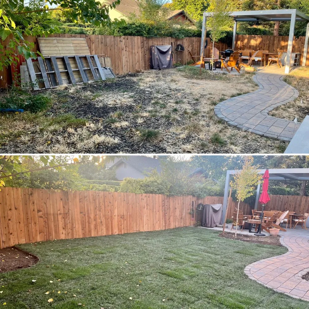Reliable landscape design near you in Concord, CA by Sunrise Vine View