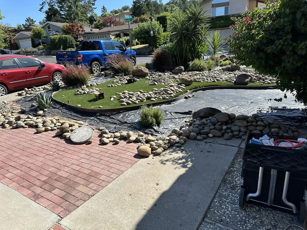 Expert lawn mowing service near you across Concord, CA - Sunrise Vine View