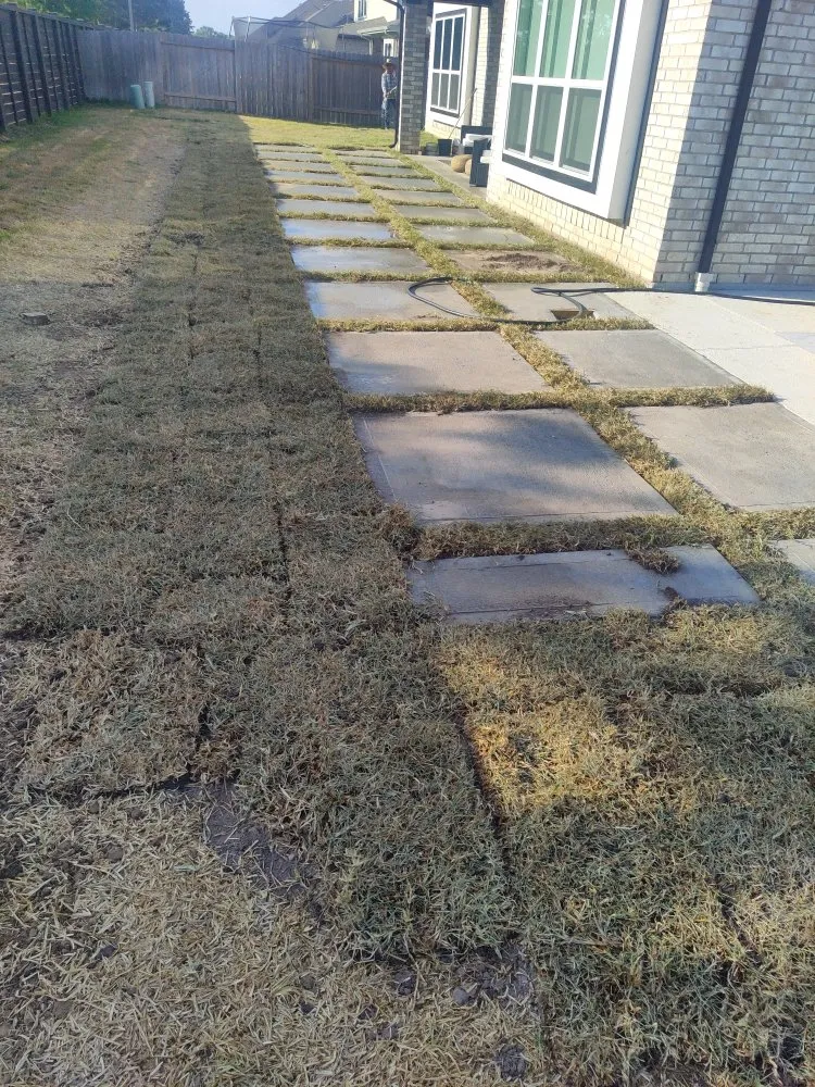 Affordable garden landscaping in Houston, TX by Sunrise Water Solution