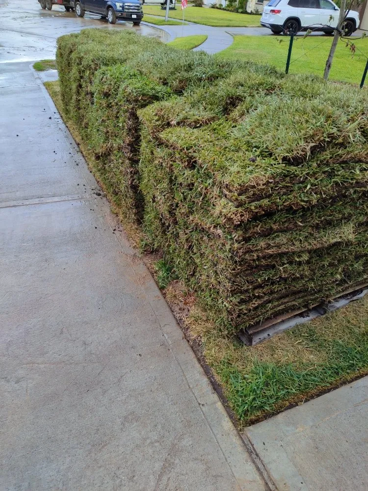 Professional yard maintenance experts serving Houston, TX - Sunrise Water Solution