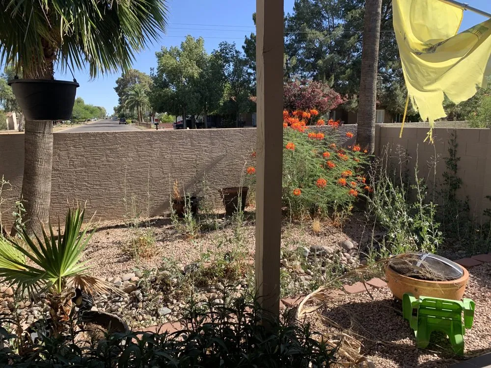 Trusted lawn mowing service for beautiful yards in Casa Grande, AZ by Sunrise Yard Service