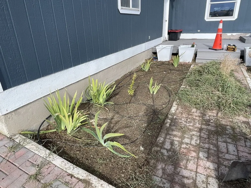 Local lawn mowing service in Elko, NV - Sunrise Yard Service