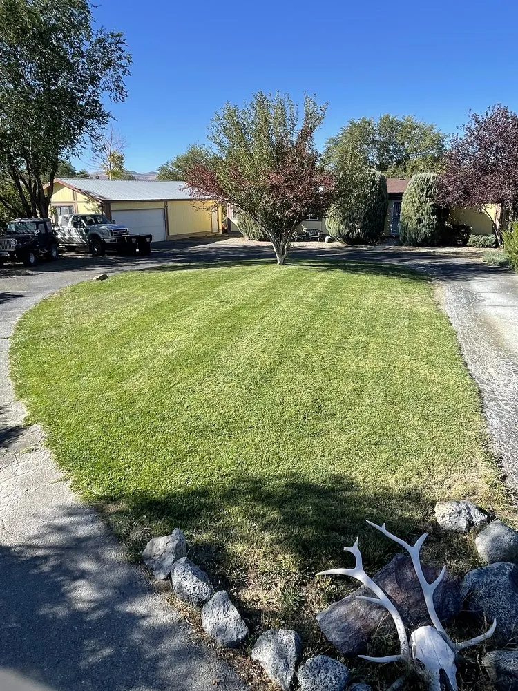 Expert yard cleanup service in Elko, NV - Sunrise Yard Service