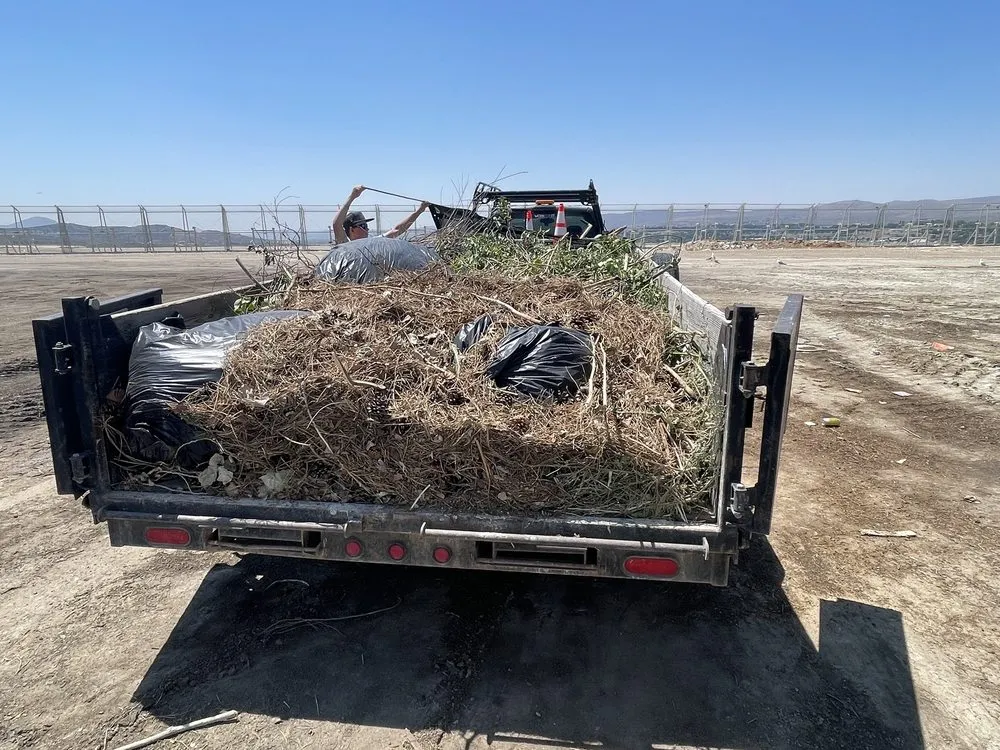 Professional garden landscaping in Elko, NV by Sunrise Yard Service