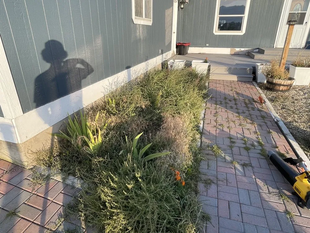 Top-rated outdoor landscaping for year-round maintenance across Elko, NV - Sunrise Yard Service