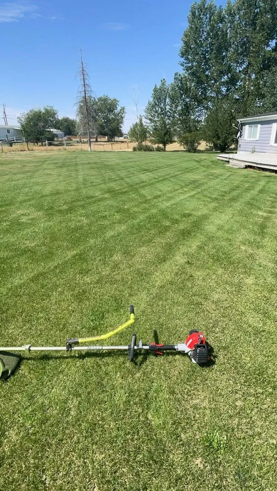Local garden landscaping for year-round maintenance across Elko, NV - Sunrise Yard Service