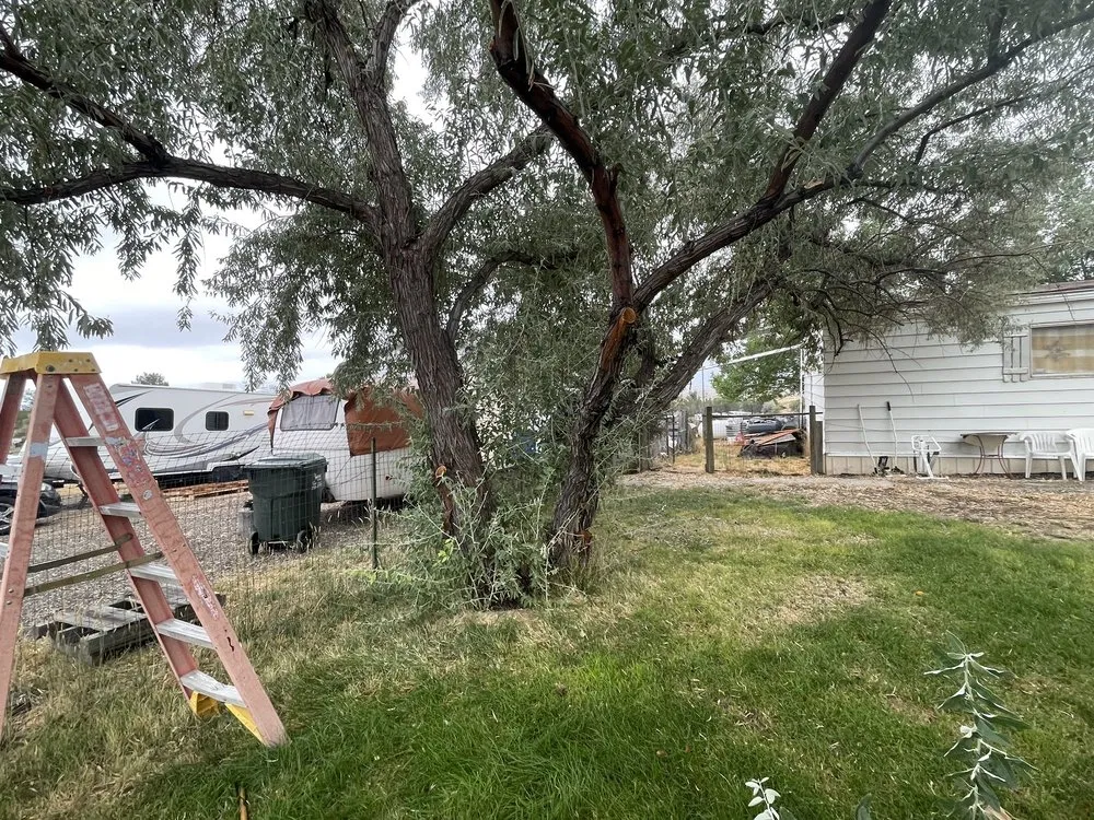 Custom yard maintenance for homes in Elko, NV by Sunrise Yard Service