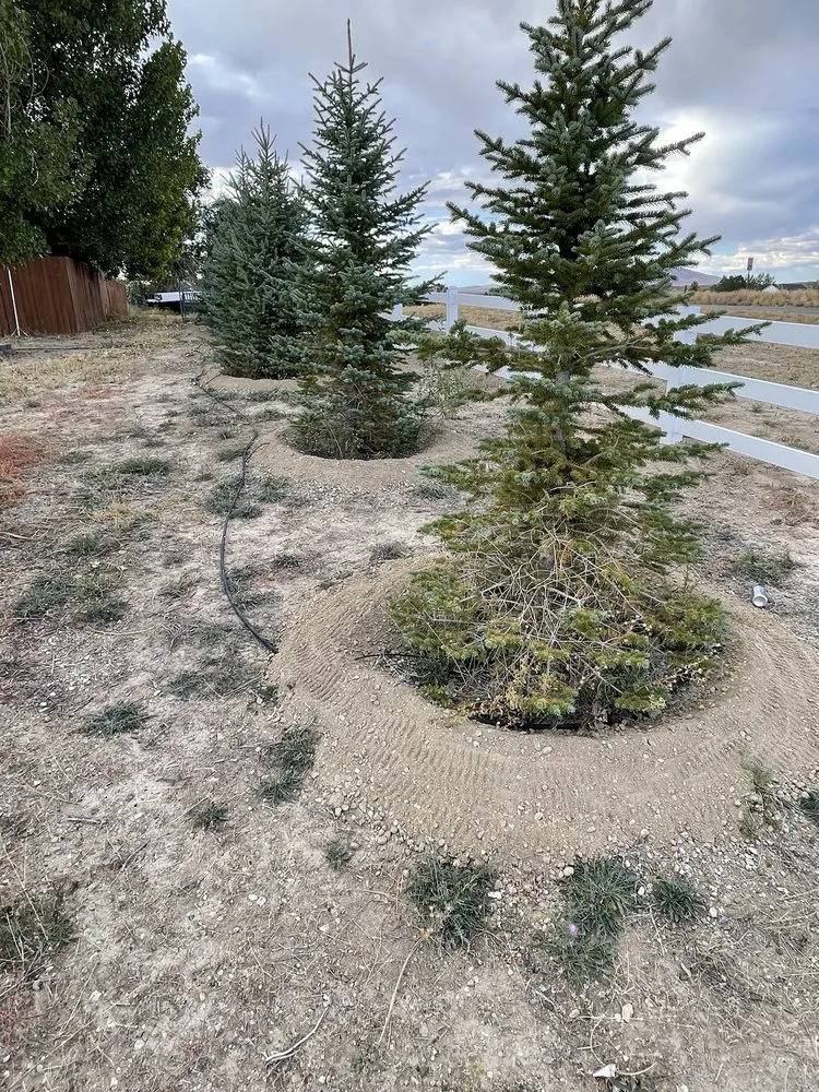 Professional residential landscaping experts serving Elko, NV - Sunrise Yard Service