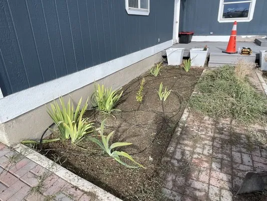 Sunrise Yard Service