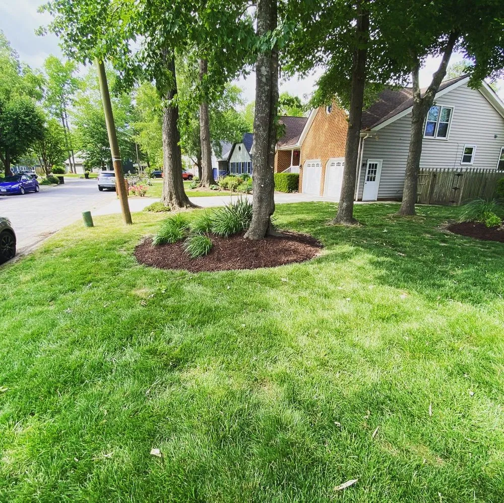 Local yard maintenance for residential properties in Newport News, VA by Sunrize Landscape