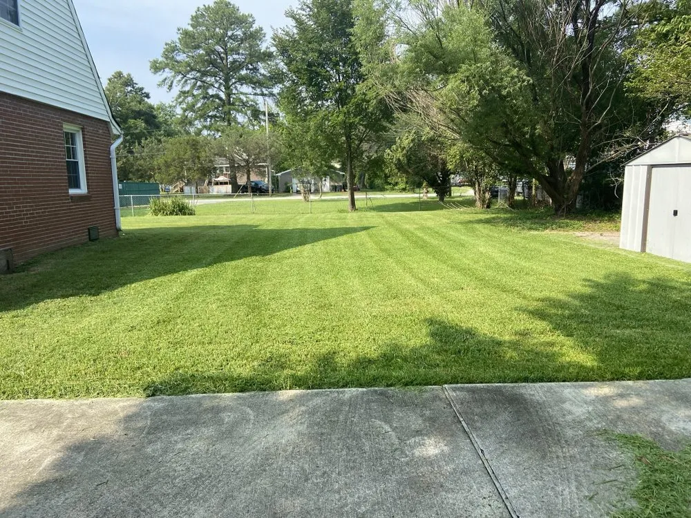 Reliable yard cleanup service experts serving Newport News, VA - Sunrize Landscape