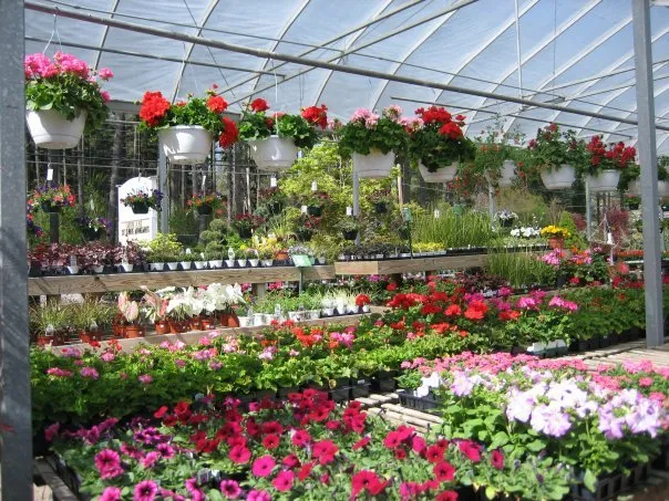 Professional outdoor landscaping in Ashton, MD - Sun's Garden & Landscaping