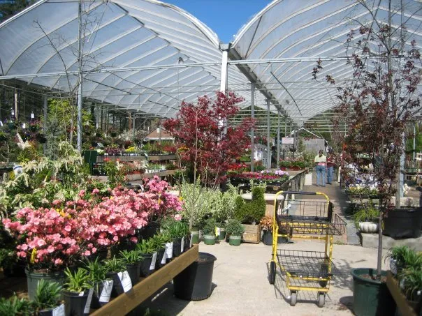 Custom landscape design for beautiful yards in Ashton, MD by Sun's Garden & Landscaping