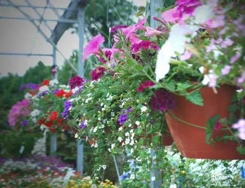 Trusted outdoor landscaping with custom design across Ashton, MD - Sun's Garden & Landscaping