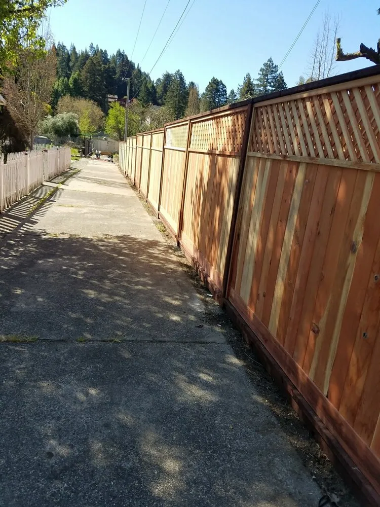 Top-rated yard cleanup service in Santa Rosa, CA by Sun's Landscaping & Concrete