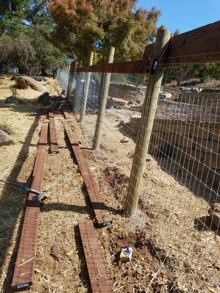 Custom lawn care service in Santa Rosa, CA by Sun's Landscaping & Concrete