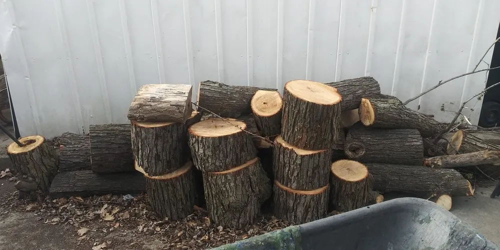 Professional yard cleanup service near you across Detroit, MI - Suns pro painting and Landscaping