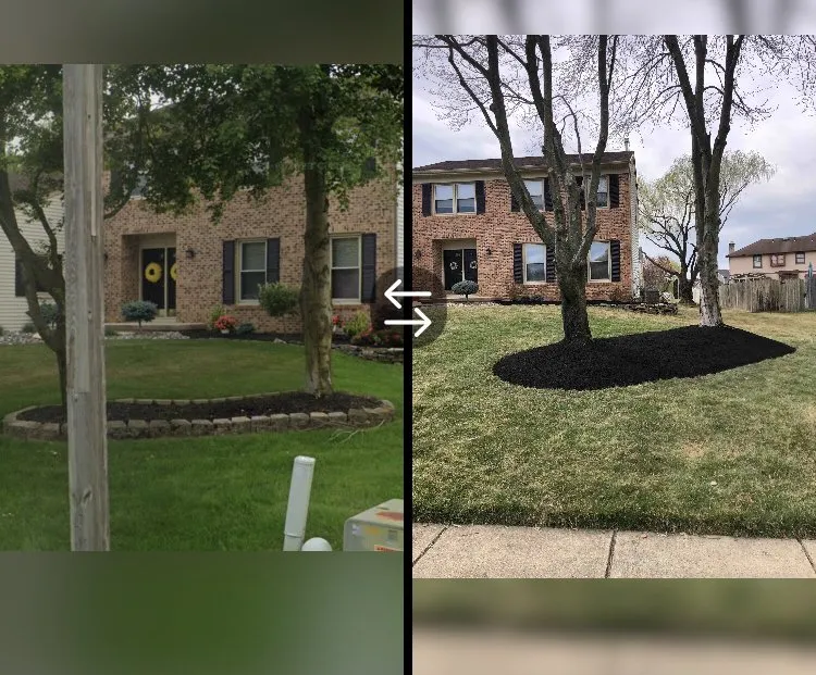 Trusted lawn care service in Sewell, NJ by Sunsational Landscaping