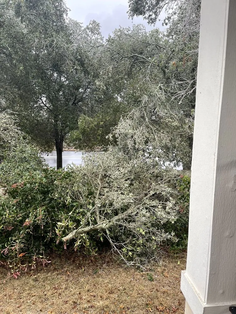 Trusted outdoor landscaping in Austin, TX - Sunscape Landscaping