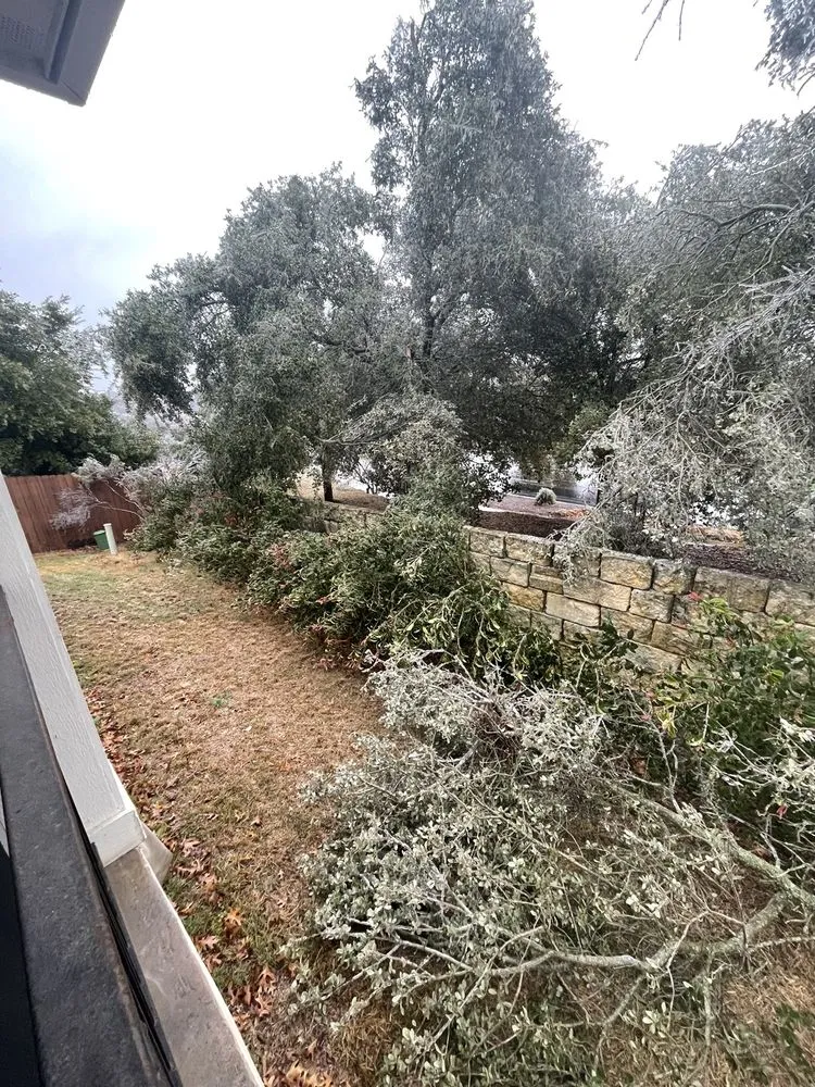 Local landscape installation experts serving Austin, TX - Sunscape Landscaping