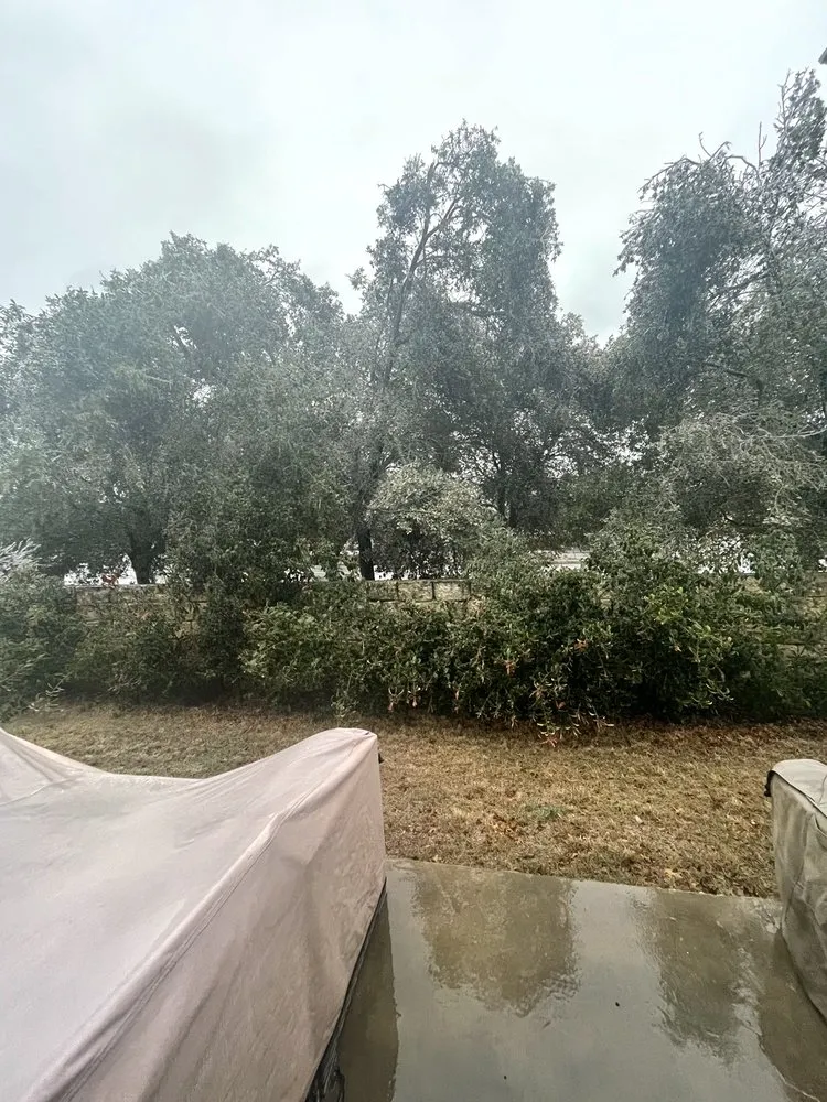 Custom yard cleanup service for outdoor upgrades across Austin, TX - Sunscape Landscaping