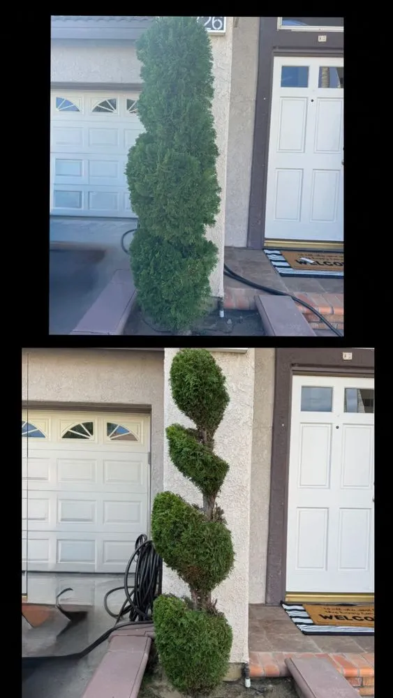 Affordable yard maintenance in Whittier, CA by Sunscape Lawn Care