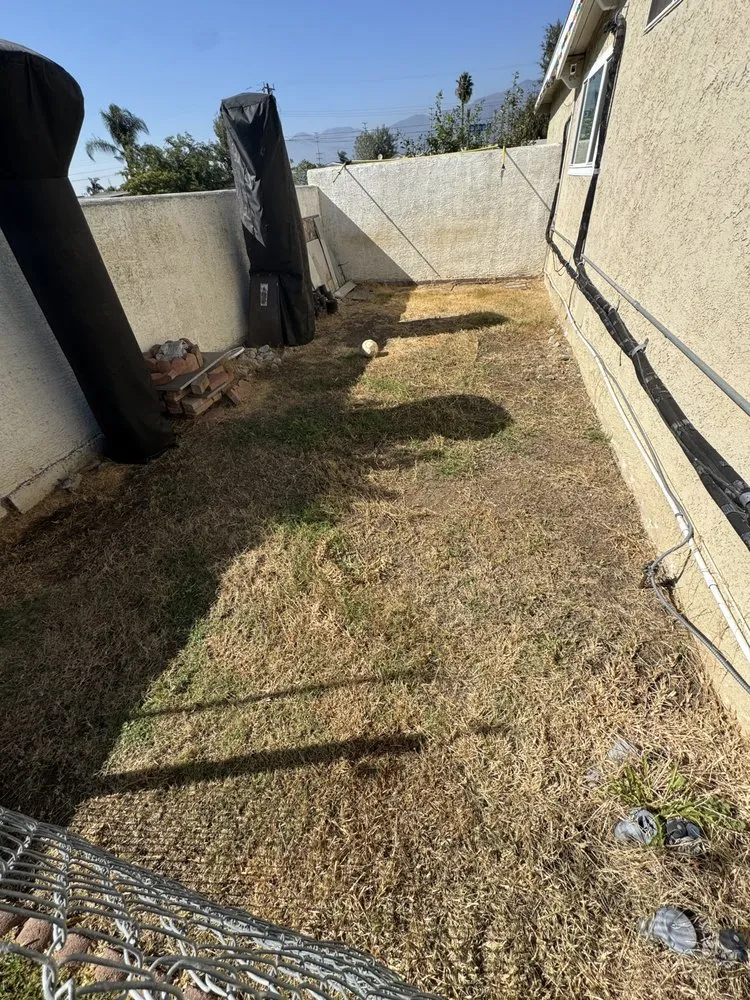 Trusted lawn care service experts serving Whittier, CA - Sunscape Lawn Care