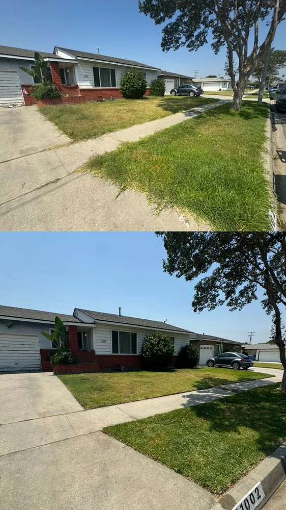 Expert landscaping services for year-round maintenance in Whittier, CA by Sunscape Lawn Care