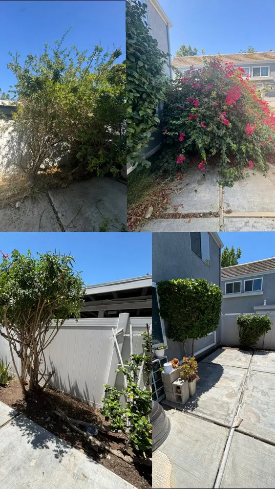 Trusted garden landscaping for residential properties in Whittier, CA by Sunscape Lawn Care