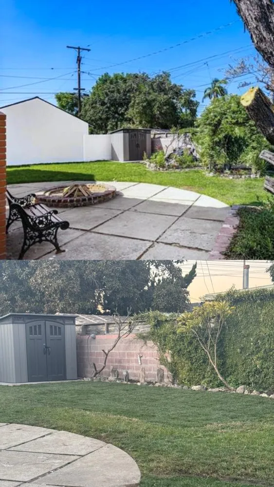 Trusted yard cleanup service in Whittier, CA by Sunscape Lawn Care