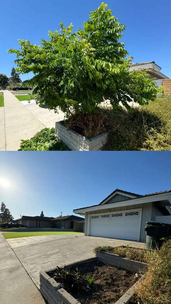 Reliable lawn care service for residential properties in Whittier, CA by Sunscape Lawn Care